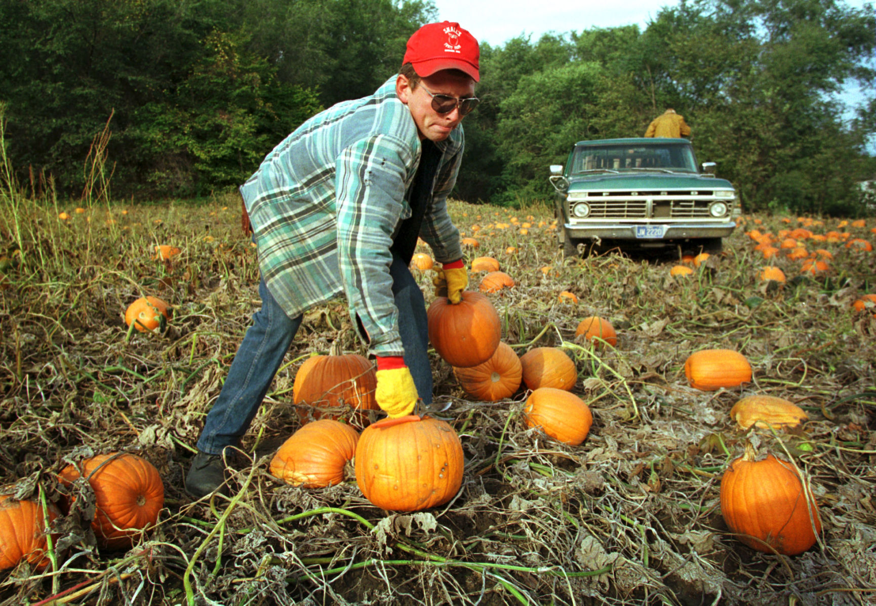 Small's Fruit Farm